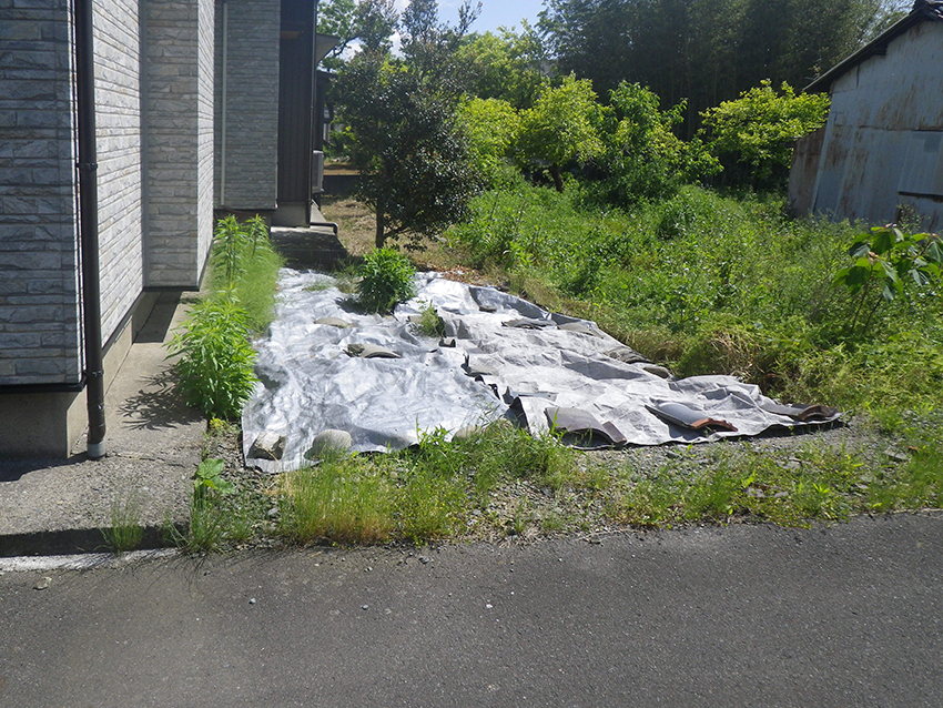 Before